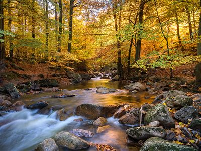 tipy-na-vylety-doubravka | Nature